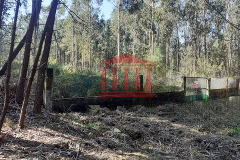 Terra a Vila Cha, Braga, Vila Cha - € 150.000 | Ref: 272T00694 - foto 10