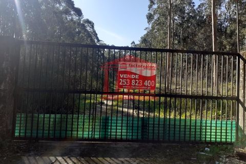 Terra a Vila Cha, Braga, Vila Cha - € 150.000 | Ref: 272T00694 - foto 12