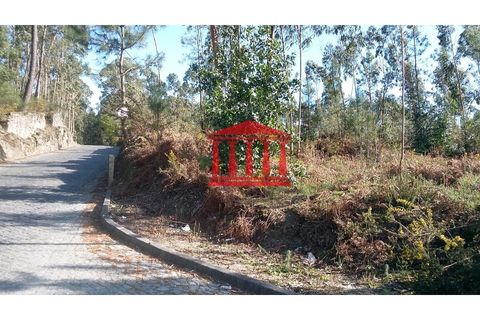 Terra a Remelhe, Braga, Remelhe - € 400.000 | Ref: 272T00580 - foto 3