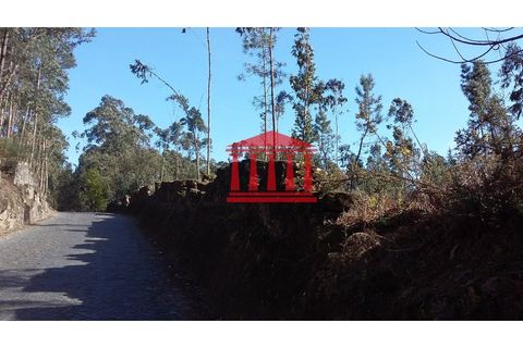 Terra a Remelhe, Braga, Remelhe - € 400.000 | Ref: 272T00580 - foto 4