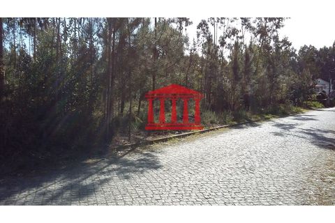 Terra a Remelhe, Braga, Remelhe - € 400.000 | Ref: 272T00580 - foto 5