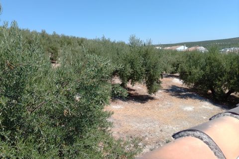 Landsbyhus i Monte Lope Alvarez, Jaen, Monte Lope Alvarez - € 114.000 | Ref: Casa Miga - foto 36