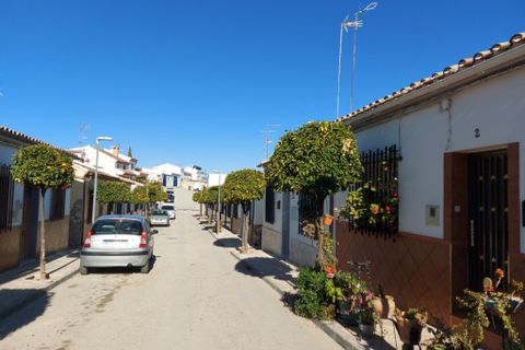 Landsbyhus i Monte Lope Alvarez, Jaen, Monte Lope Alvarez - € 114.000 | Ref: Casa Miga - foto 41