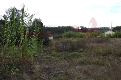 Helårsgrund i Torres Vedras, Lisbon, Torres Vedras - € 280.000 | Ref: 98222MM - foto 3