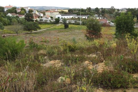 Helårsgrund i Torres Vedras, Lisbon, Torres Vedras - € 280.000 | Ref: 98222MM - foto 6