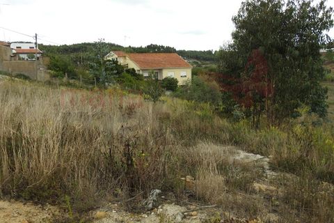 Helårsgrund i Torres Vedras, Lisbon, Torres Vedras - € 280.000 | Ref: 98222MM - foto 8