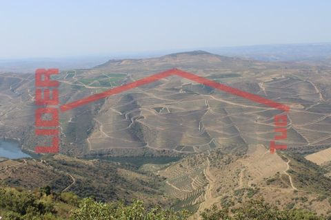 Farm i Torre de Moncorvo, Braganca, Torre de Moncorvo - € 650.000 | Ref: 0818 - foto 11