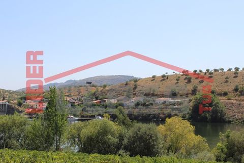 Farm i Torre de Moncorvo, Braganca, Torre de Moncorvo - € 650.000 | Ref: 0818 - foto 14