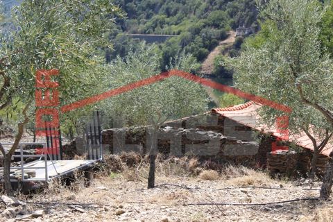 Farm i Torre de Moncorvo, Braganca, Torre de Moncorvo - € 650.000 | Ref: 0818 - foto 18