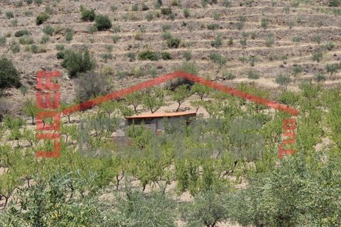 Farm i Torre de Moncorvo, Braganca, Torre de Moncorvo - € 650.000 | Ref: 0818 - foto 12