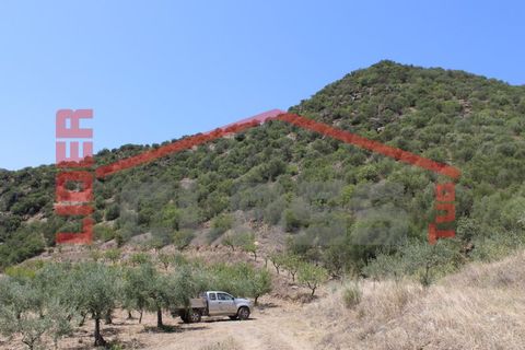 Farm i Torre de Moncorvo, Braganca, Torre de Moncorvo - € 650.000 | Ref: 0818 - foto 24