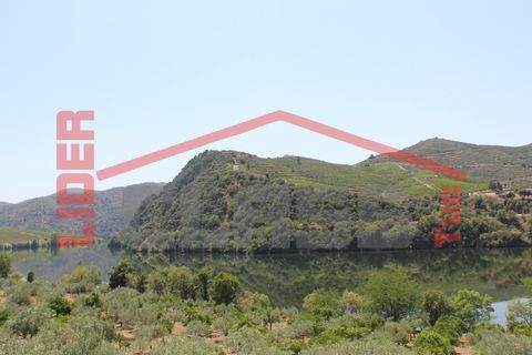 Farm i Torre de Moncorvo, Braganca, Torre de Moncorvo - € 650.000 | Ref: 0818 - foto 25