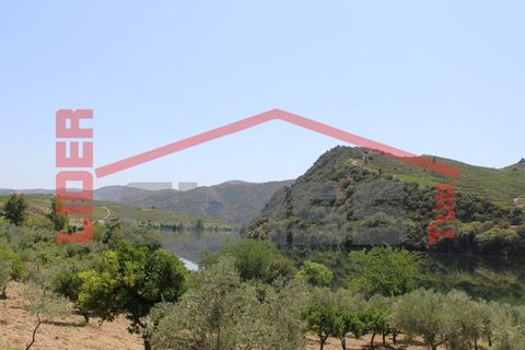 Farm i Torre de Moncorvo, Braganca, Torre de Moncorvo - € 650.000 | Ref: 0818 - foto 26