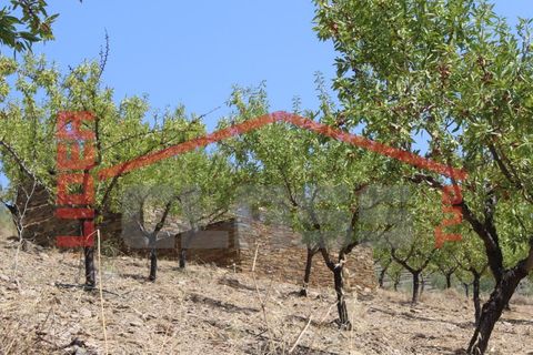 Farm i Torre de Moncorvo, Braganca, Torre de Moncorvo - € 650.000 | Ref: 0818 - foto 28
