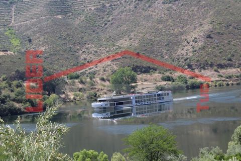 Farm i Torre de Moncorvo, Braganca, Torre de Moncorvo - € 650.000 | Ref: 0818 - foto 1