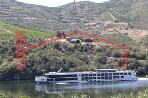 Farm i Torre de Moncorvo, Braganca, Torre de Moncorvo - € 650.000 | Ref: 0818 - foto 29