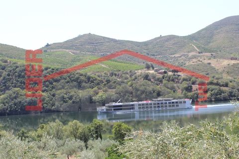 Farm i Torre de Moncorvo, Braganca, Torre de Moncorvo - € 650.000 | Ref: 0818 - foto 30