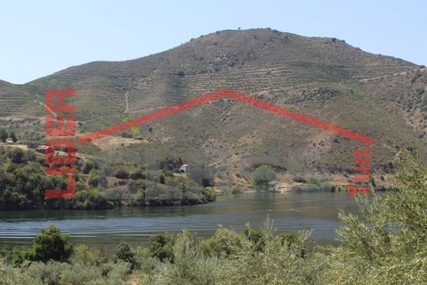 Farm i Torre de Moncorvo, Braganca, Torre de Moncorvo - € 650.000 | Ref: 0818 - foto 32