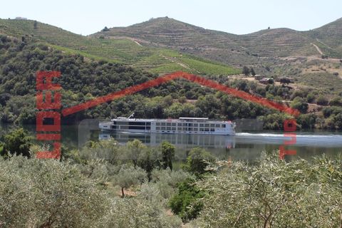 Farm i Torre de Moncorvo, Braganca, Torre de Moncorvo - € 650.000 | Ref: 0818 - foto 3