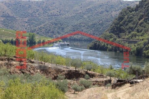 Farm i Torre de Moncorvo, Braganca, Torre de Moncorvo - € 650.000 | Ref: 0818 - foto 2