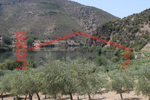 Farm i Torre de Moncorvo, Braganca, Torre de Moncorvo - € 650.000 | Ref: 0818 - foto 34