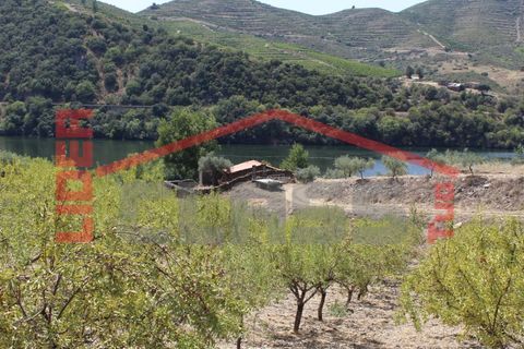 Farm i Torre de Moncorvo, Braganca, Torre de Moncorvo - € 650.000 | Ref: 0818 - foto 6