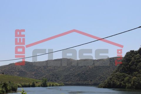 Farm i Torre de Moncorvo, Braganca, Torre de Moncorvo - € 650.000 | Ref: 0818 - foto 35