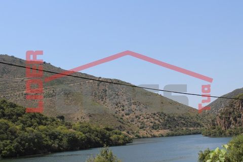 Farm i Torre de Moncorvo, Braganca, Torre de Moncorvo - € 650.000 | Ref: 0818 - foto 36