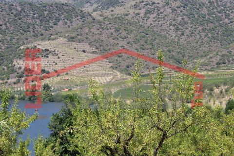 Farm i Torre de Moncorvo, Braganca, Torre de Moncorvo - € 650.000 | Ref: 0818 - foto 37