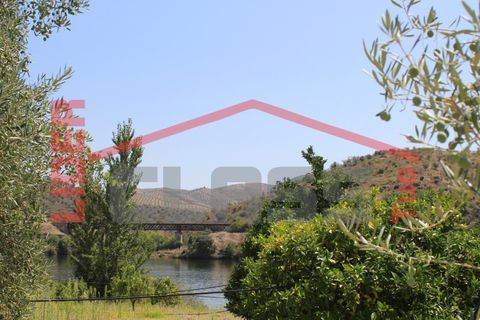 Farm i Torre de Moncorvo, Braganca, Torre de Moncorvo - € 650.000 | Ref: 0818 - foto 39