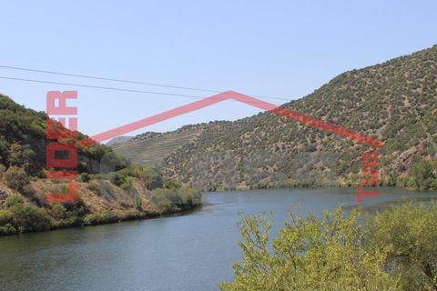 Farm i Torre de Moncorvo, Braganca, Torre de Moncorvo - € 650.000 | Ref: 0818 - foto 40
