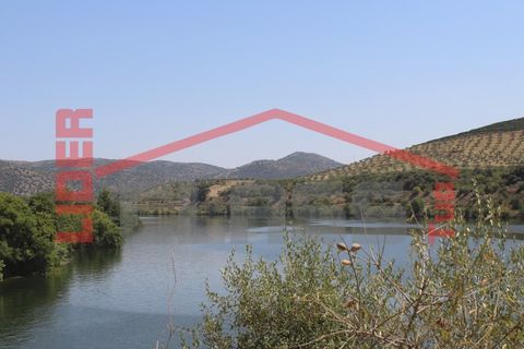 Farm i Torre de Moncorvo, Braganca, Torre de Moncorvo - € 650.000 | Ref: 0818 - foto 7