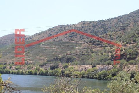 Farm i Torre de Moncorvo, Braganca, Torre de Moncorvo - € 650.000 | Ref: 0818 - foto 41
