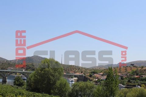 Farm i Torre de Moncorvo, Braganca, Torre de Moncorvo - € 650.000 | Ref: 0818 - foto 42