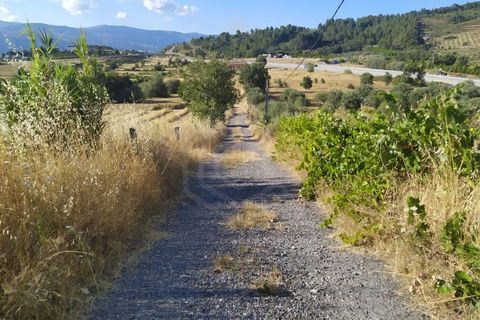 Helårsgrund i Fundao, Castelo Branco, Fundao - € 240.000 | Ref: 04/T/00442 - foto 3
