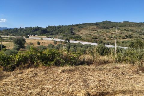 Helårsgrund i Fundao, Castelo Branco, Fundao - € 240.000 | Ref: 04/T/00442 - foto 4