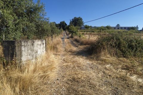 Helårsgrund i Fundao, Castelo Branco, Fundao - € 240.000 | Ref: 04/T/00442 - foto 7