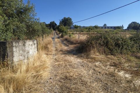 Helårsgrund i Fundao, Castelo Branco, Fundao - € 240.000 | Ref: 04/T/00442 - foto 9