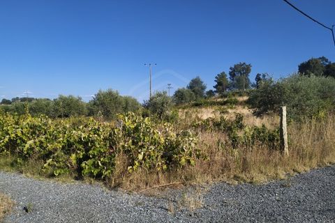 Helårsgrund i Fundao, Castelo Branco, Fundao - € 240.000 | Ref: 04/T/00442 - foto 15