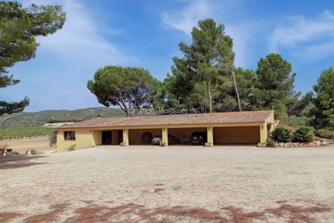 Villa a Ontinyent, Valencia, Ontinyent - € 2.399.500 | Ref: Finca Mansion - foto 13