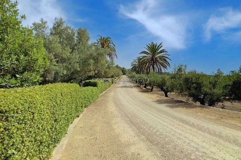 Villa a Ontinyent, Valencia, Ontinyent - € 2.399.500 | Ref: Finca Mansion - foto 20