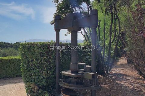 Villa a Ontinyent, Valencia, Ontinyent - € 2.399.500 | Ref: Finca Mansion - foto 37