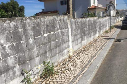 Helårsgrund i Castelo Branco, Castelo Branco, Castelo Branco - € 48.500 | Ref: ALC008 - foto 2