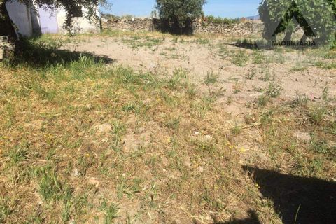 Helårsgrund i Castelo Branco, Castelo Branco, Castelo Branco - € 48.500 | Ref: ALC008 - foto 4