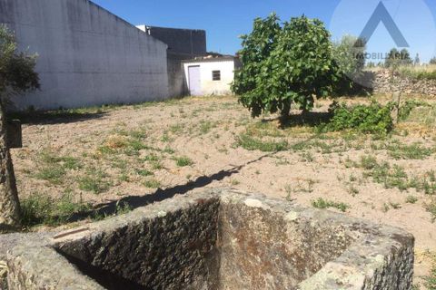 Helårsgrund i Castelo Branco, Castelo Branco, Castelo Branco - € 48.500 | Ref: ALC008 - foto 5