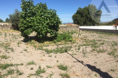 Helårsgrund i Castelo Branco, Castelo Branco, Castelo Branco - € 48.500 | Ref: ALC008 - foto 9