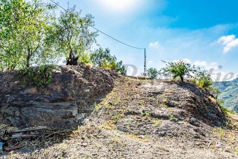 Finca i Archez, Malaga, Archez - € 128.000 | Ref: CP491 - foto 16