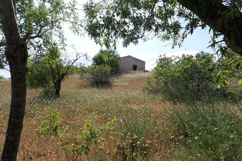 Helårsgrund i Albufeira, Faro, Albufeira - € 500.000 | Ref: 1009-2031 - foto 3