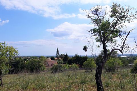 Helårsgrund i Albufeira, Faro, Albufeira - € 500.000 | Ref: 1009-2031 - foto 4