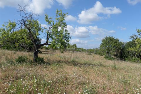 Helårsgrund i Albufeira, Faro, Albufeira - € 500.000 | Ref: 1009-2031 - foto 7